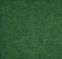 Pine
