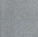 Gray Dolomite