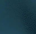 Peacock Shimmer