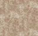 Beige Terracotta