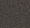 Gray Taupe