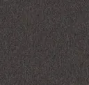 Lancaster Gray