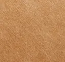 Nutmeg