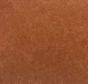 Cinnamon