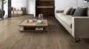 Saddle Oak