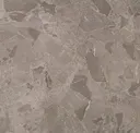 Meteor Grey