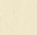 Pine Nut