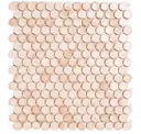 Coral 1