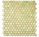 556