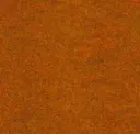 Cob Orange