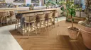Bronze Teak