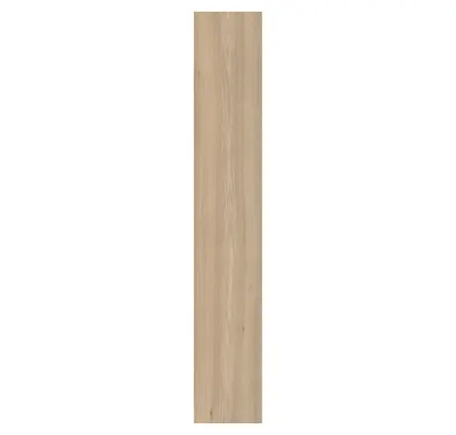 Main