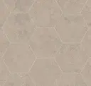 Terra