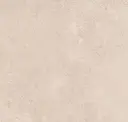 Bone