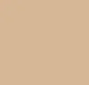 Plain Sand Yellow