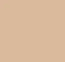 Plain Sand Yellow