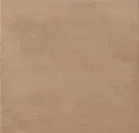 6161 Warm Ochre Clay