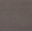 6172 Warm Grey Sand