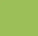17900 Macaw Green
