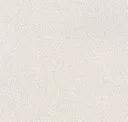 Dove