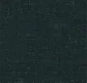 Coal