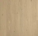 Acorn