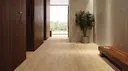 Golden Beige