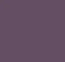 Shoreline Purple