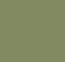 Gecko