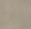 Vanilla Silk