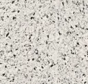 Dalmatian