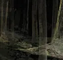 Dark 1
