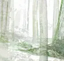 Light