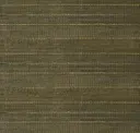 Olive Brown