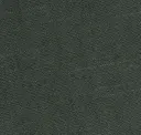 Midnight Green