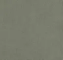 Stone Gray