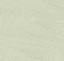 Bone White