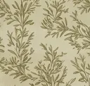 Travertine