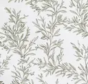 Dove Grey