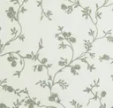 Verte