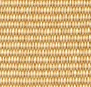 Raw Almond