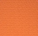 Clownfish