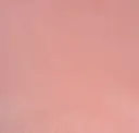 Bubblegum