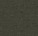 Coal
