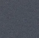 Coal