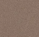 Cocoa