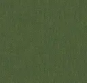 Pine