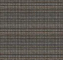Coal