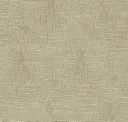 Carolina Dune