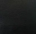 Blackbird